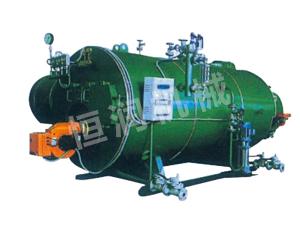 Natural gas boiler